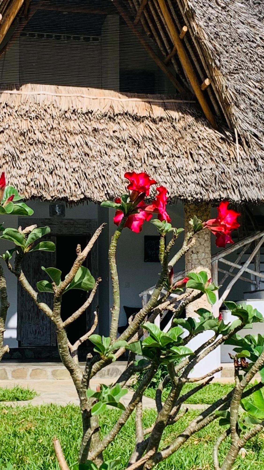 Bed and Breakfast Nyuso Za Afrika à Watamu Extérieur photo