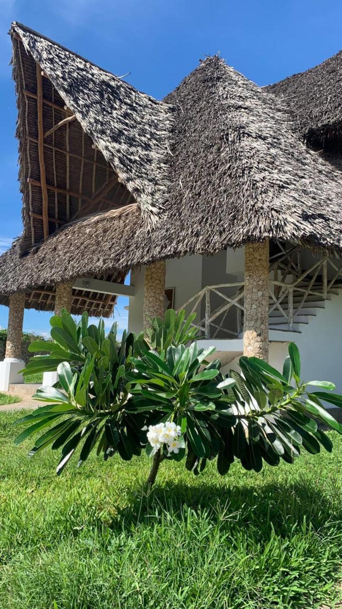 Bed and Breakfast Nyuso Za Afrika à Watamu Extérieur photo